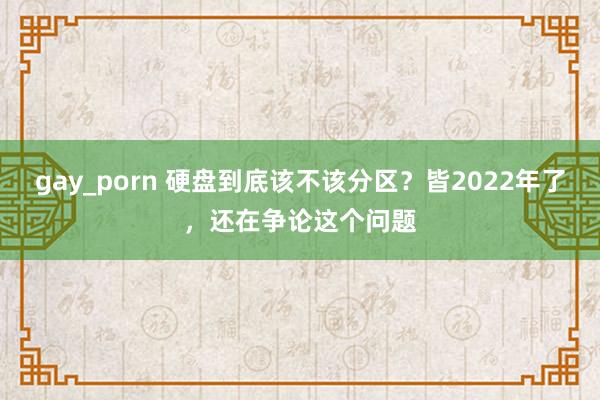 gay_porn 硬盘到底该不该分区？皆2022年了，还在争论这个问题