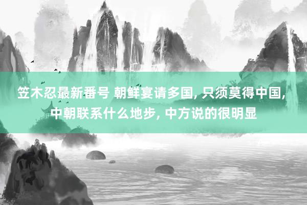 笠木忍最新番号 朝鲜宴请多国, 只须莫得中国, 中朝联系什么地步, 中方说的很明显