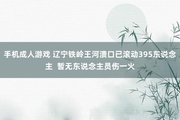 手机成人游戏 辽宁铁岭王河溃口已滚动395东说念主  暂无东说念主员伤一火