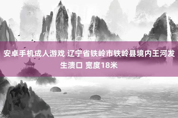 安卓手机成人游戏 辽宁省铁岭市铁岭县境内王河发生溃口 宽度18米