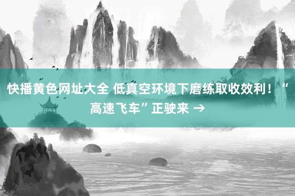 快播黄色网址大全 低真空环境下磨练取收效利！“高速飞车”正驶来 →