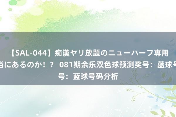 【SAL-044】痴漢ヤリ放題のニューハーフ専用車は本当にあるのか！？ 081期余乐双色球预测奖号：蓝球号码分析