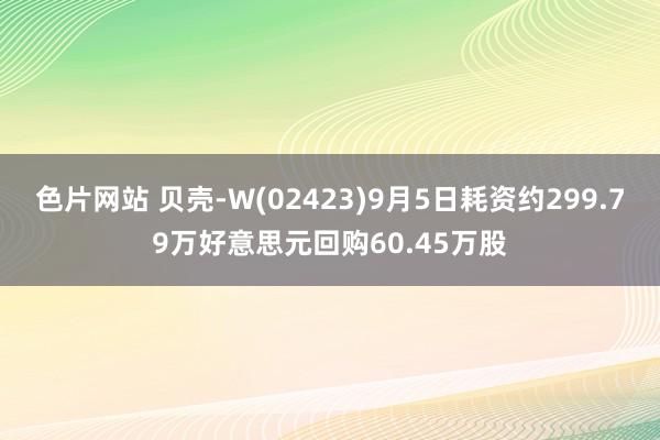 色片网站 贝壳-W(02423)9月5日耗资约299.79万好意思元回购60.45万股