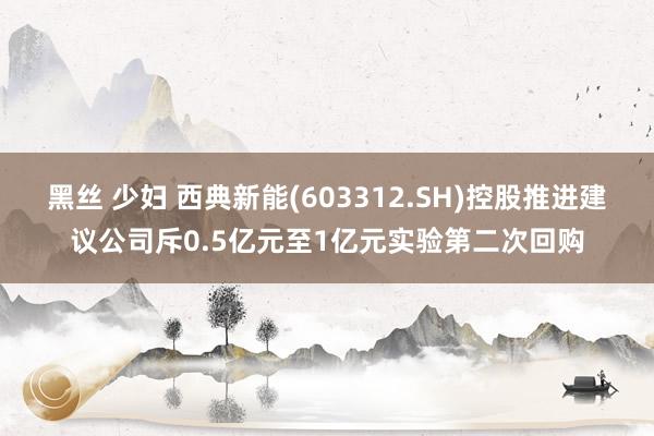 黑丝 少妇 西典新能(603312.SH)控股推进建议公司斥0.5亿元至1亿元实验第二次回购