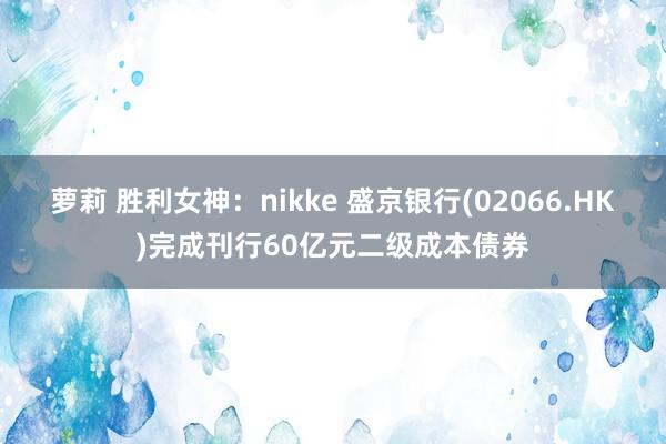 萝莉 胜利女神：nikke 盛京银行(02066.HK)完成刊行60亿元二级成本债券