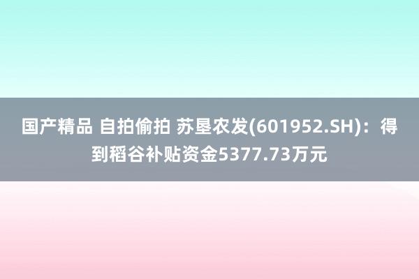 国产精品 自拍偷拍 苏垦农发(601952.SH)：得到稻谷补贴资金5377.73万元