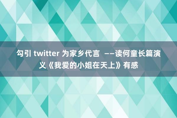 勾引 twitter 为家乡代言  ——读何童长篇演义《我爱的小姐在天上》有感