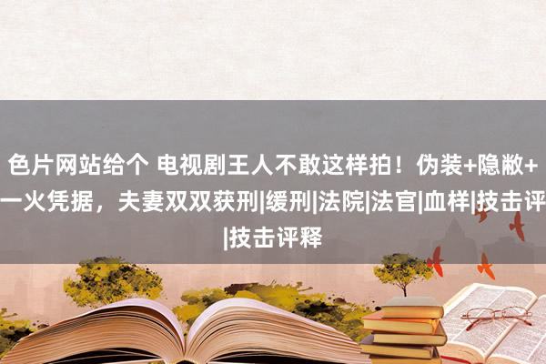 色片网站给个 电视剧王人不敢这样拍！伪装+隐敝+阵一火凭据，夫妻双双获刑|缓刑|法院|法官|血样|技击评释