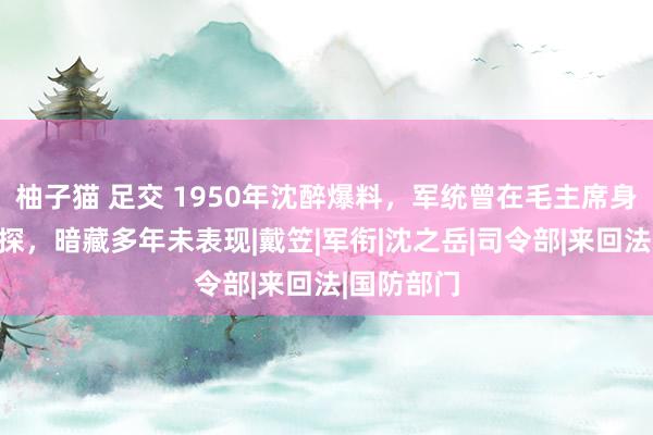 柚子猫 足交 1950年沈醉爆料，军统曾在毛主席身边安插密探，暗藏多年未表现|戴笠|军衔|沈之岳|司令部|来回法|国防部门