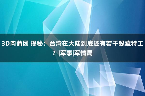 3D肉蒲团 揭秘：台湾在大陆到底还有若干躲藏特工？|军事|军情局