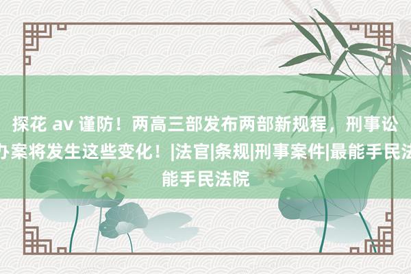 探花 av 谨防！两高三部发布两部新规程，刑事讼师办案将发生这些变化！|法官|条规|刑事案件|最能手民法院