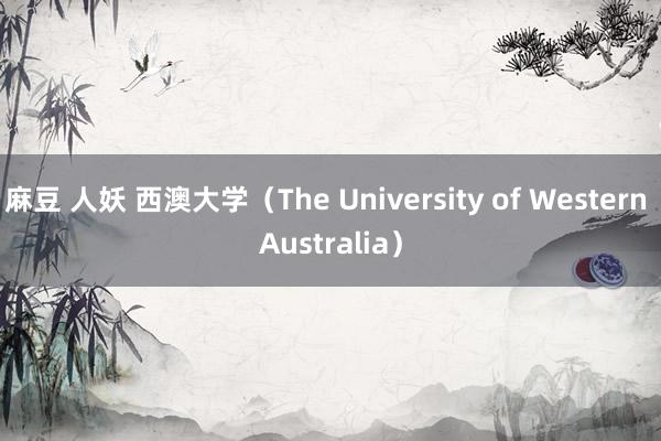 麻豆 人妖 西澳大学（The University of Western Australia）