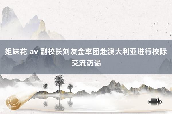 姐妹花 av 副校长刘友金率团赴澳大利亚进行校际交流访谒